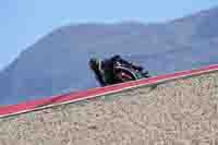 19 to 21-02-2024 Andalucia - Photos by Peter Wileman